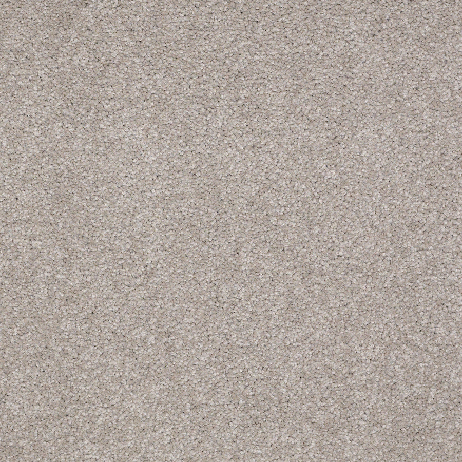 Shaw Floors - Carpet - Sandy Hollow II - 15' - London Fog