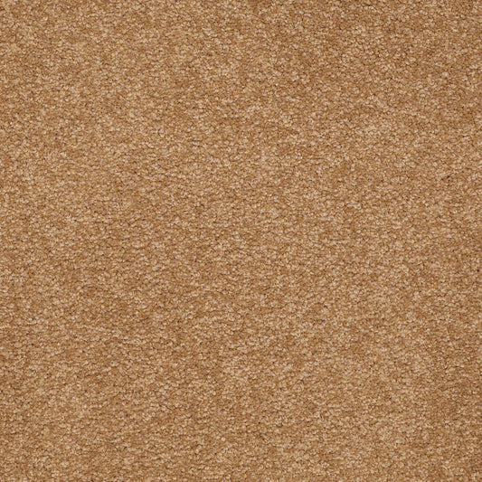 Shaw Floors - Carpet - Sandy Hollow II - 15' - Peanut Brittle