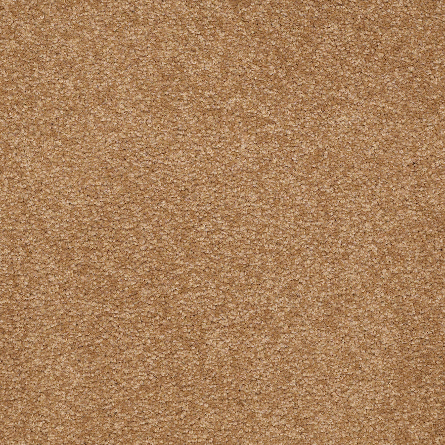 Shaw Floors - Carpet - Sandy Hollow II - 15' - Peanut Brittle