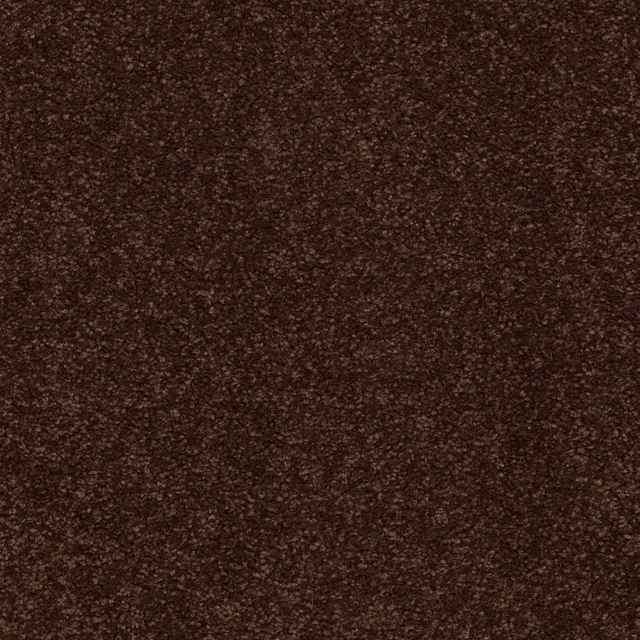 Shaw Floors - Carpet - Sandy Hollow II - 15' - Coffee Bean