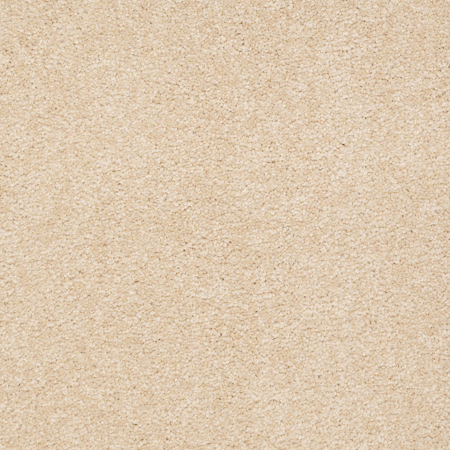 Shaw Floors - Carpet - Sandy Hollow III - 15' - Marzipan