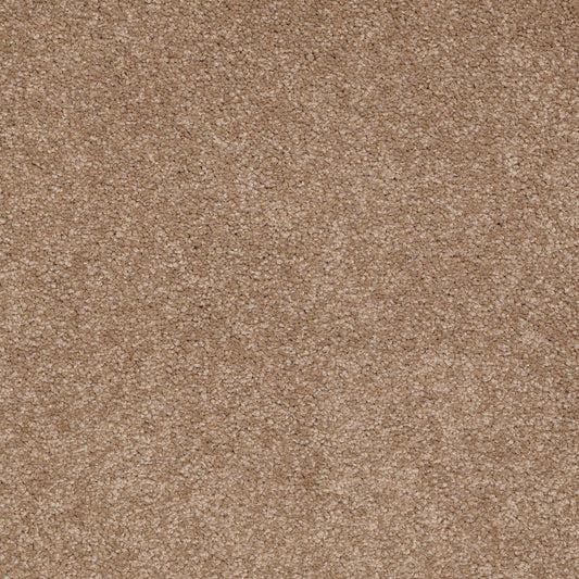 Shaw Floors - Carpet - Sandy Hollow III - 15' - Mojave