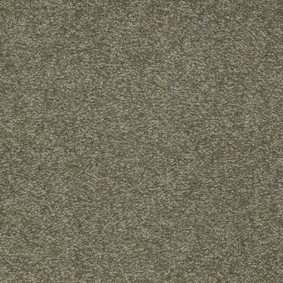 Shaw Floors - Carpet - Sandy Hollow III - 15' - Alpine Fern