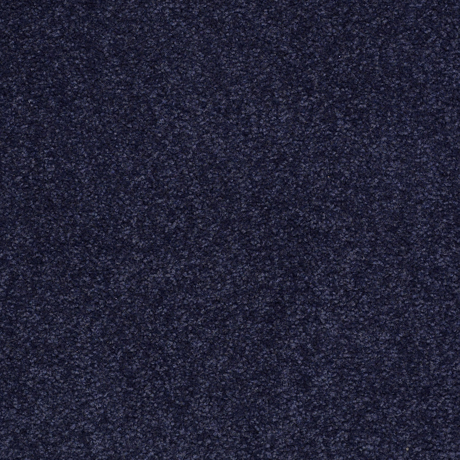 Shaw Floors - Carpet - Sandy Hollow III - 15' - Indigo