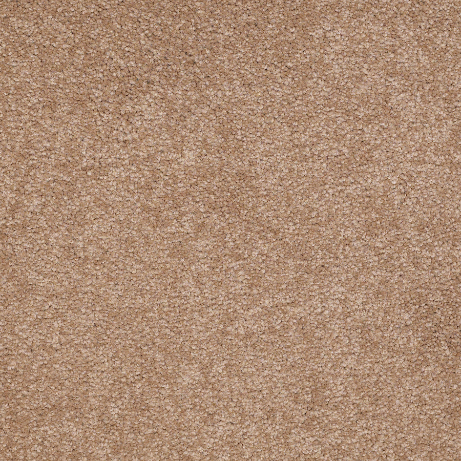 Shaw Floors - Carpet - Sandy Hollow III - 15' - Muffin