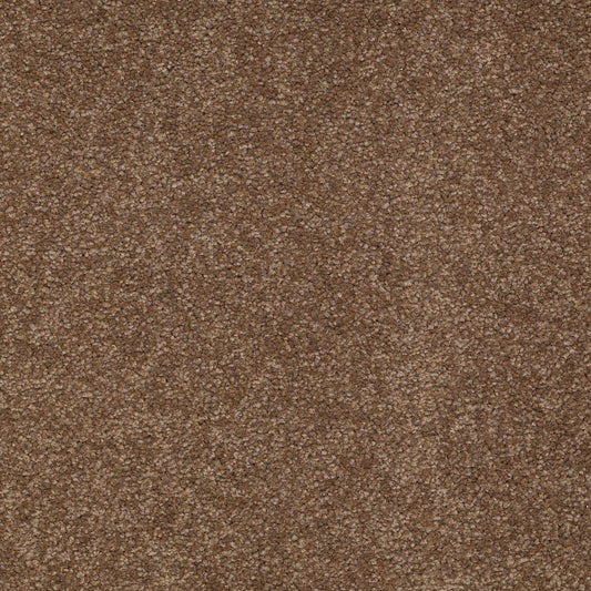 Shaw Floors - Carpet - Sandy Hollow III - 15' - Pine Cone