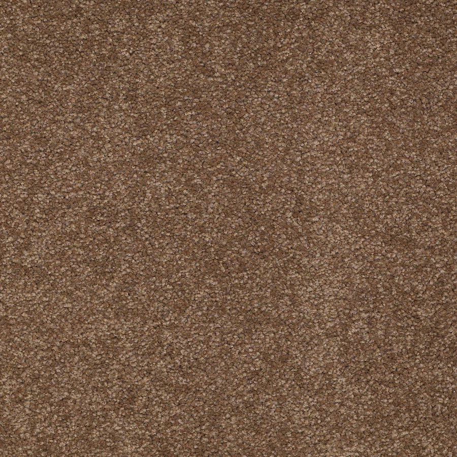 Shaw Floors - Carpet - Sandy Hollow III - 15' - Pine Cone