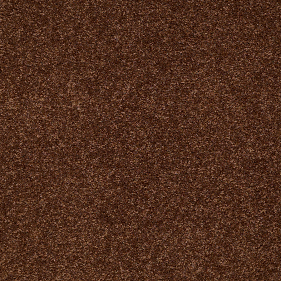 Shaw Floors - Carpet - Sandy Hollow III - 15' - Tortoise Shell