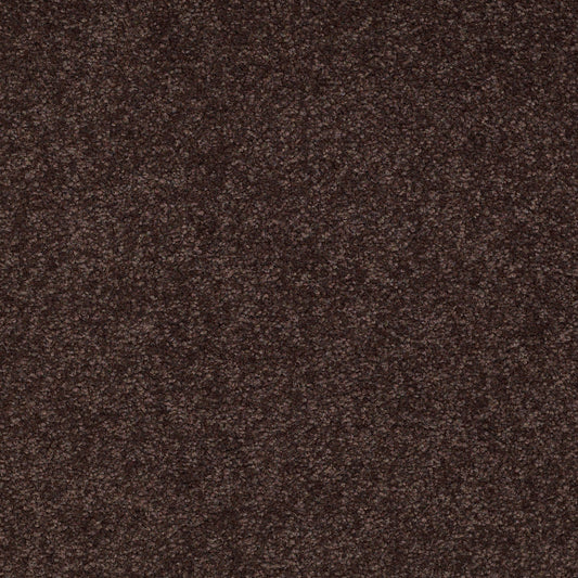 Shaw Floors - Carpet - Sandy Hollow III - 15' - Tundra
