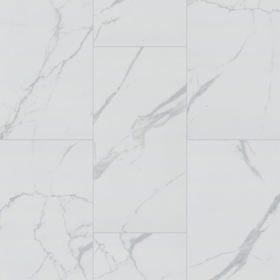 MSI - ROMAN STATUARIO  MATTE - Tile - 12" x 24"