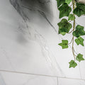 MSI - ROMAN STATUARIO  MATTE - Tile - 12" x 24"