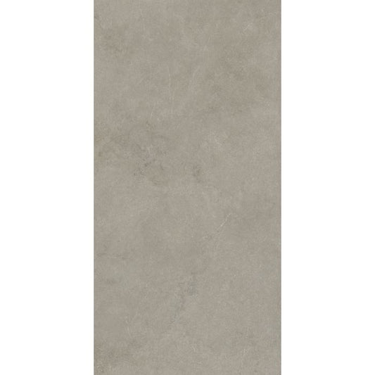 OLYMPIA TILE + STONE - Absolute Series - Porcelain Tile - Rupe - 24" x 48"