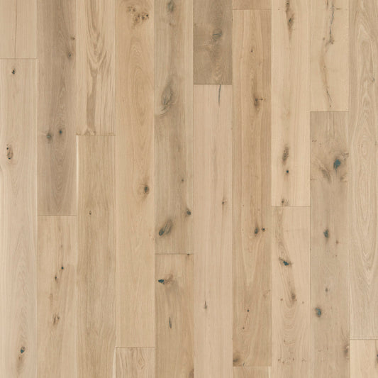 Sanctuary Shell engineered hardwood