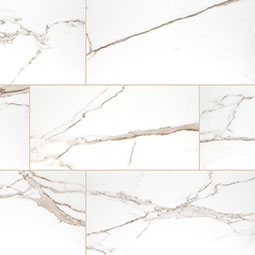 MSI - SAVOY CREMA  MATTE - Tile - 24" x 48"