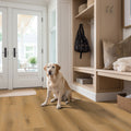 MSI - Nove Collection - Scandi 9X48 - Tile - 9" x 48"
