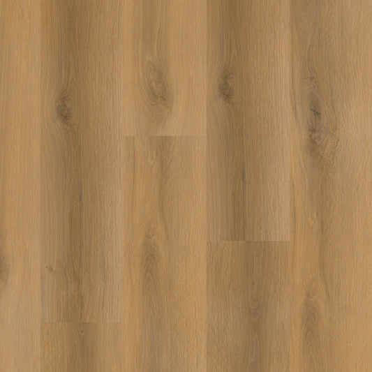 MSI - Nove Plus Collection - Scandi - 9" x 48"