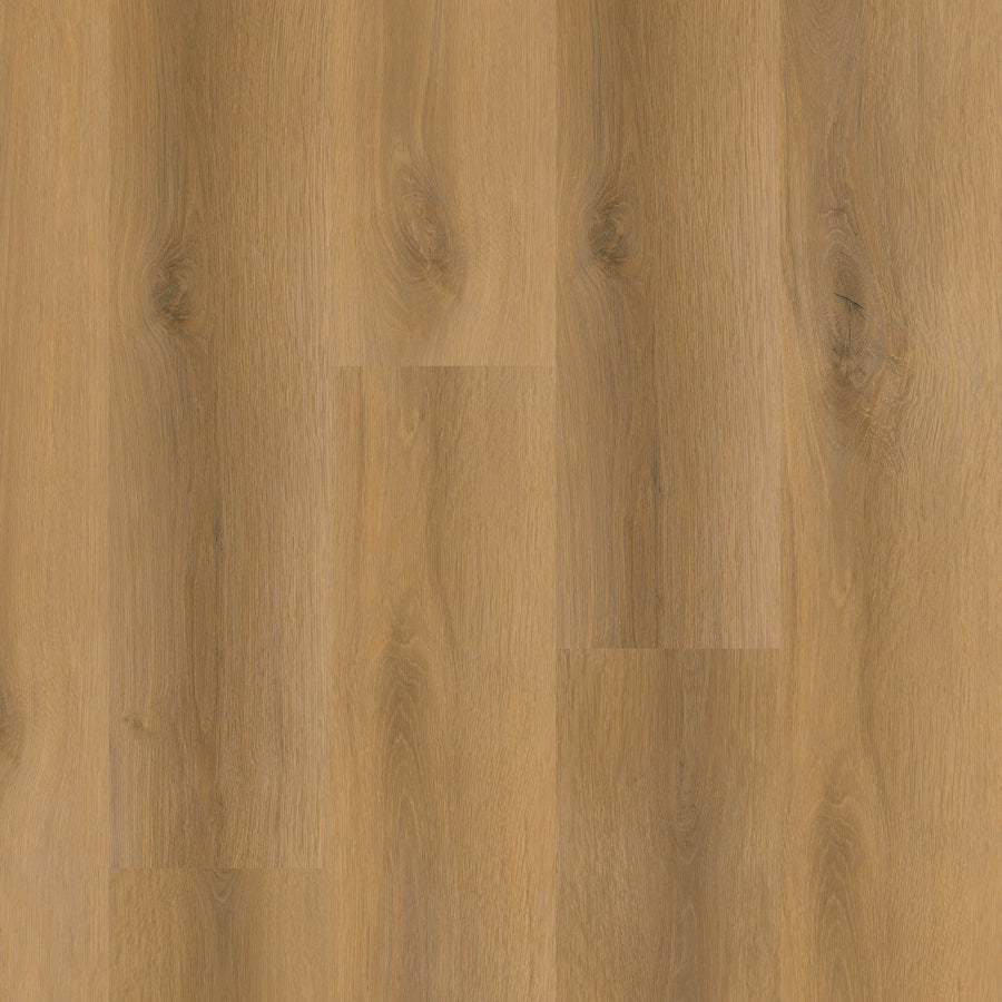 MSI - Nove Plus Collection - Scandi - 9" x 48"