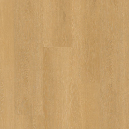 MSI - Nove Plus Collection - Selbourne - 9" x 48"