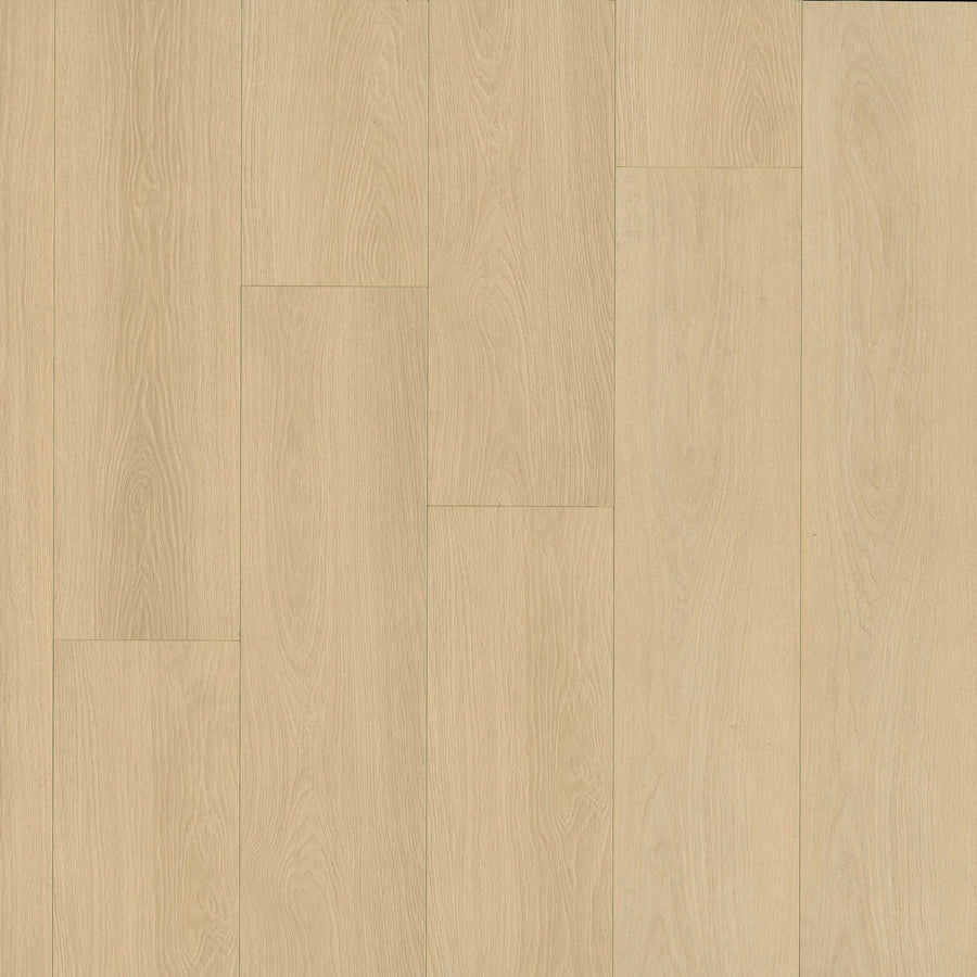 MSI - Shorecliffs™ Collection - Houston Trail - 9” x 87"