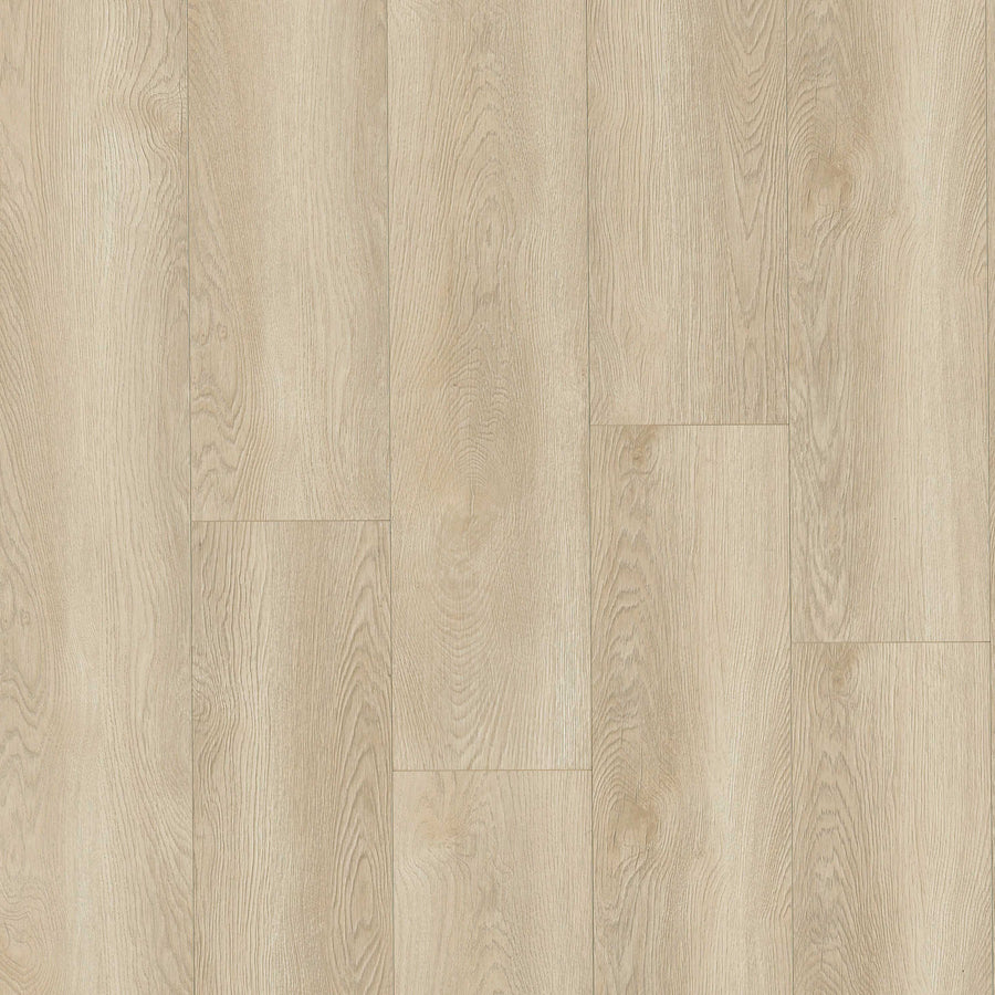 MSI - Shorecliffs™ Collection - Schertz Oaks - 9” x 87"