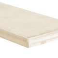 MSI - STELLA BISCOTTI  GLOSSY - Tile - 2" x 10"