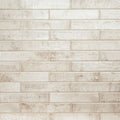 MSI - STELLA BISCOTTI  GLOSSY - Tile - 2" x 10"