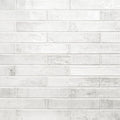 MSI - STELLA LA PERLA  GLOSSY - Tile - 2" x 10"