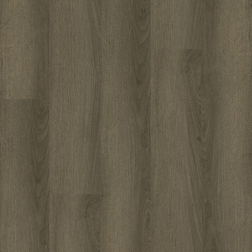 MSI Surfaces - Ashton 2.0 ™ Collection - Sunnyset