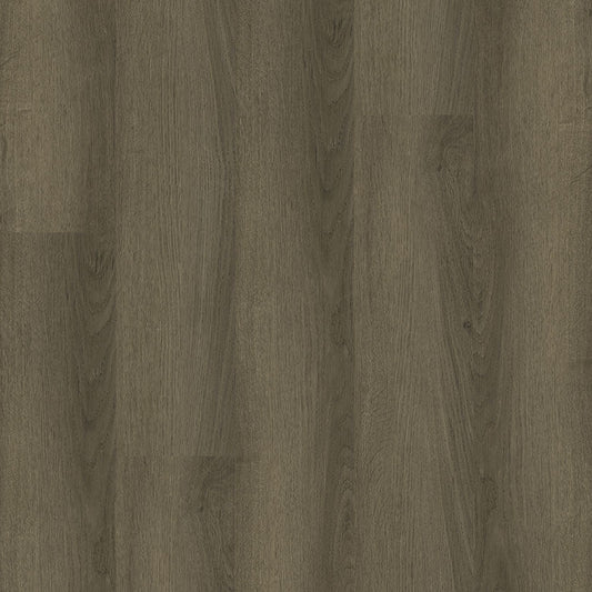 MSI Surfaces - Ashton 2.0 ™ Collection - Sunnyset