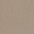 Tarkett Adorn Carved carpet swatch