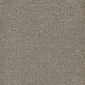 Tarkett Adorn Revered carpet swatch