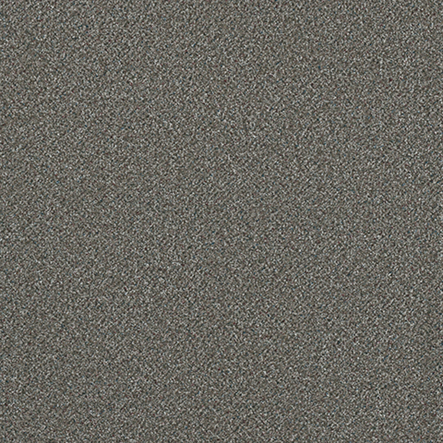 Tarkett Adorn Extravagant carpet swatch