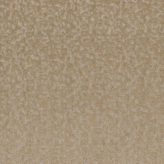 Tarkett Aesthetic Mindful carpet swatch