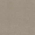 Tarkett Aesthetic Dover carpet swatch