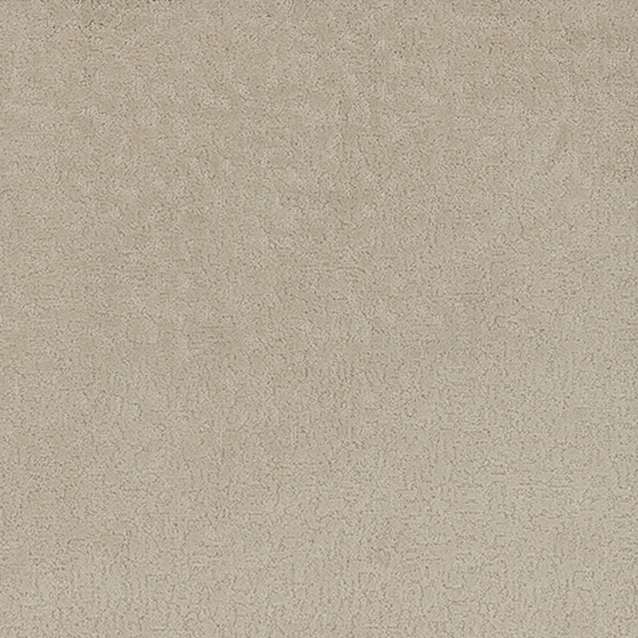 Tarkett Aesthetic Faint carpet swatch
