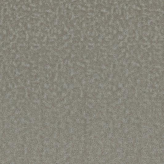 Tarkett Aesthetic Poised carpet swatch