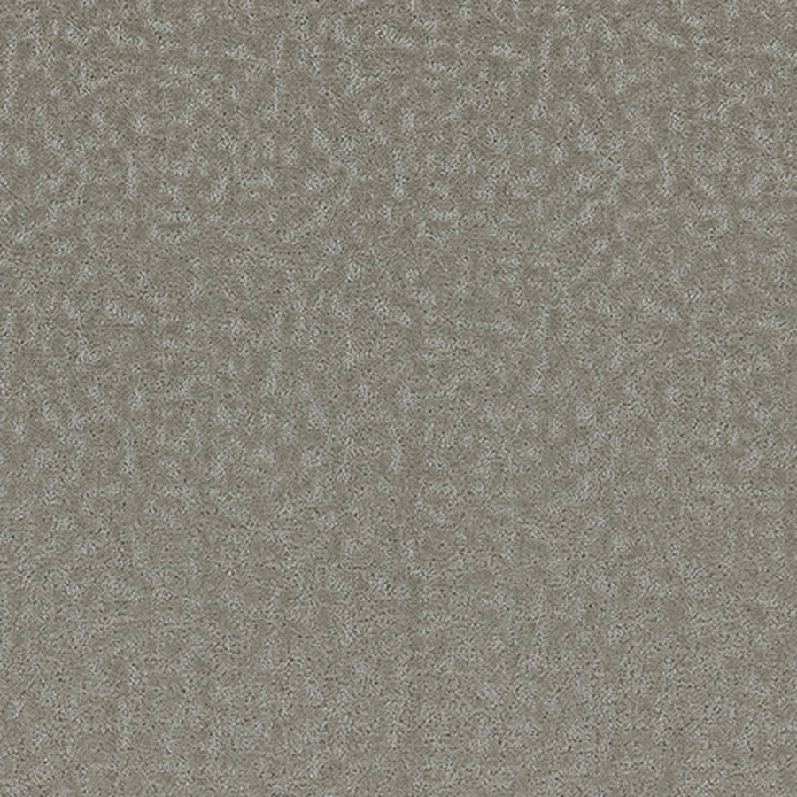 Tarkett Aesthetic Poised carpet swatch