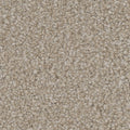 Tarkett Allure Gratify carpet swatch