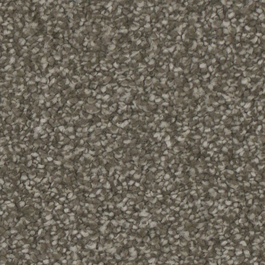 Tarkett Allure Inviting carpet swatch