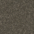 Tarkett Allure Ravish carpet swatch