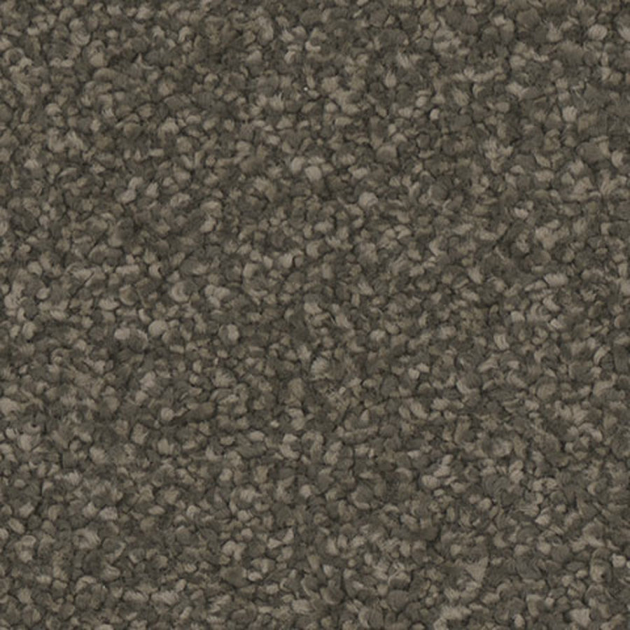 Tarkett Allure Ravish carpet swatch
