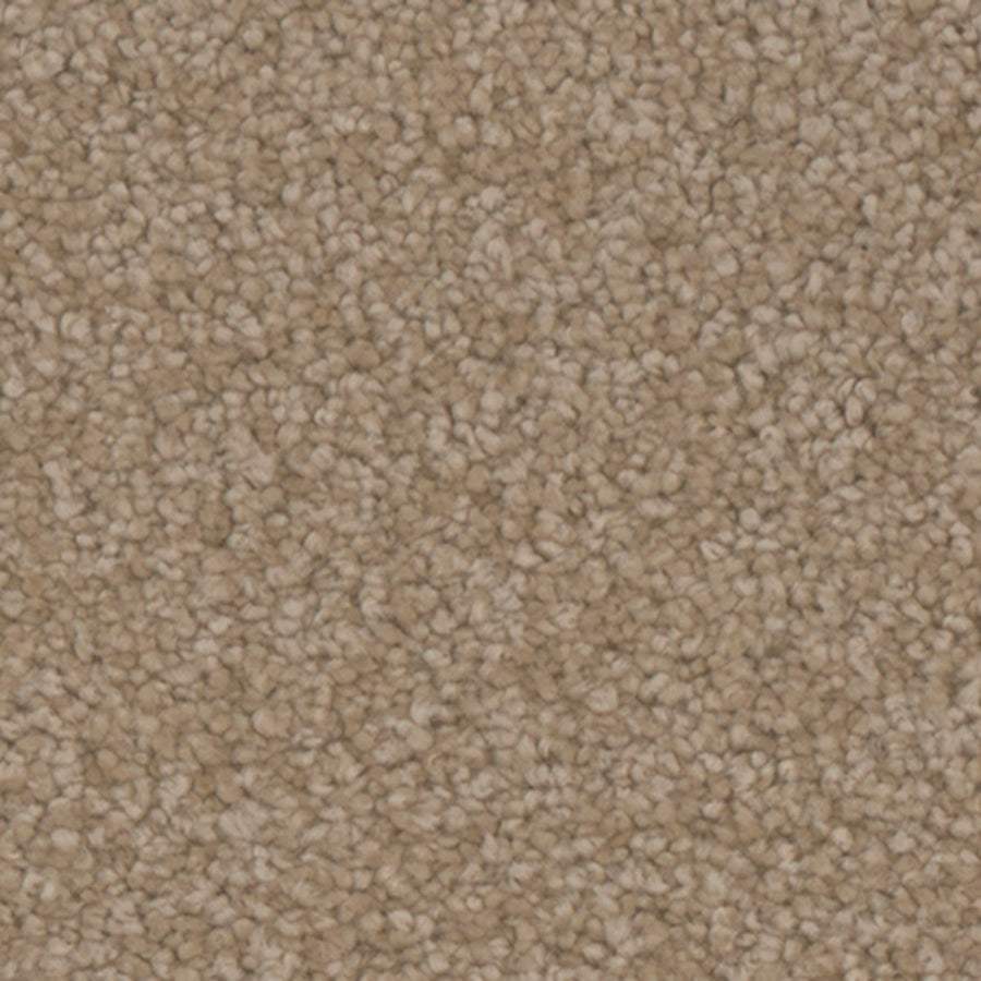 Tarkett Avalon Countryside carpet swatch