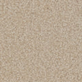 Tarkett Avalon Townlet carpet swatch
