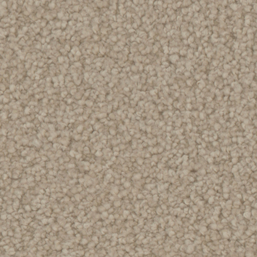 Tarkett Avalon Grove carpet swatch