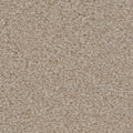 Tarkett Avalon Borough carpet swatch