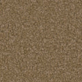 Tarkett Avalon Treasure carpet swatch