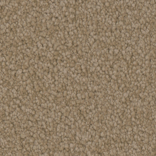 Tarkett Avalon Gallery carpet swatch