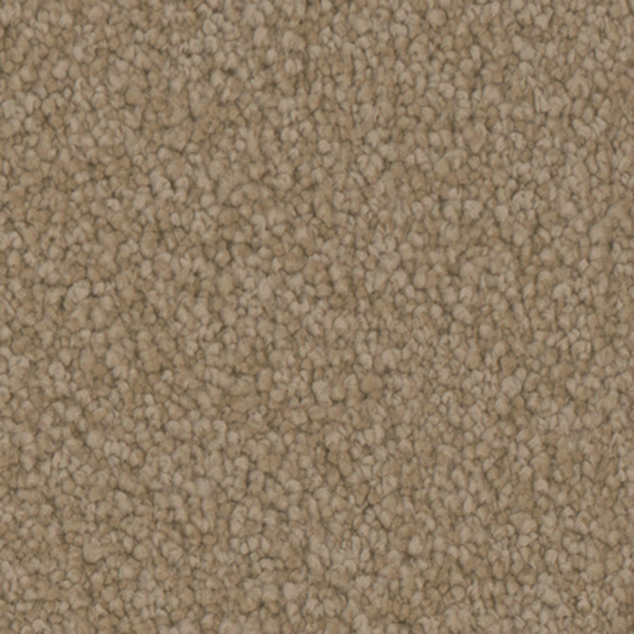 Tarkett Avalon Gallery carpet swatch
