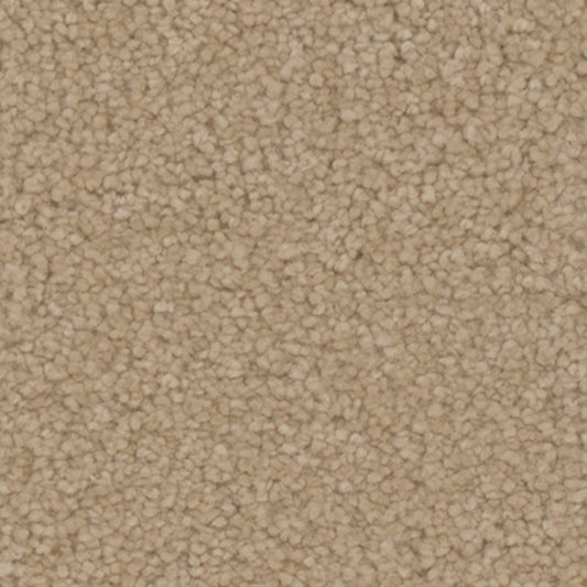 Tarkett Avalon Bungalow carpet swatch