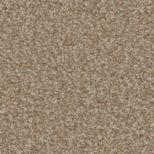 Tarkett Avalon Cottage carpet swatch
